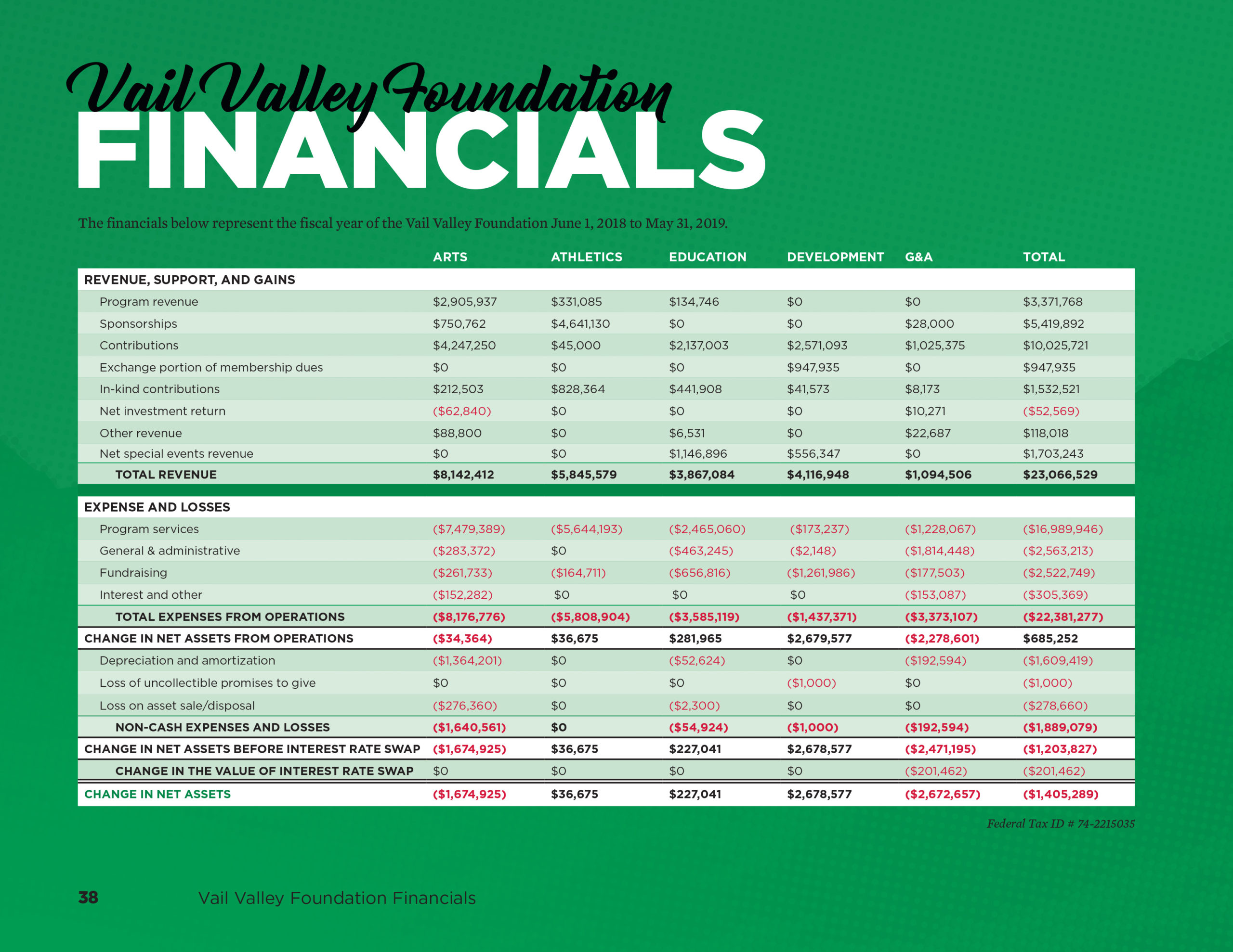VVF Financials FY2019